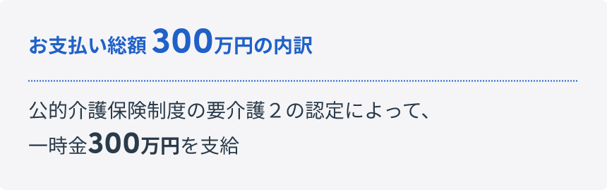 お支払い総額170万円の内訳