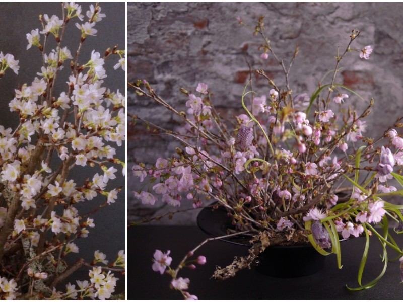 パリスタイルのフラワーアレンジ『fleur de cerisier～桜』アヴァンセクラス