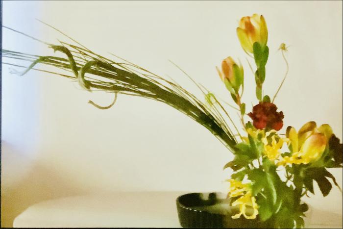 ＊基本傾真型盛り花 ＊  左にグッと傾けたエニシダと、微妙な色彩が美しいリュウカデンドロンのバランスが気持ちいい春の生け花。講師作